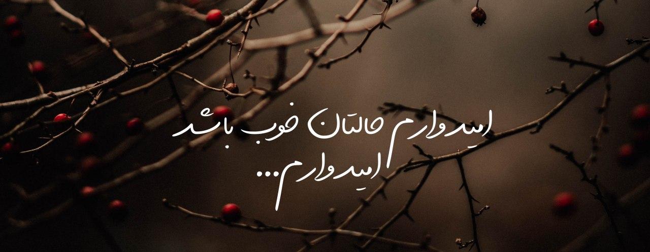 امیدوارم حالتان خوب باشد، امیدوارم...