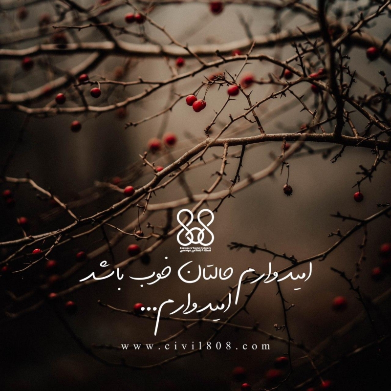 امیدوارم حالتان خوب باشد، امیدوارم...