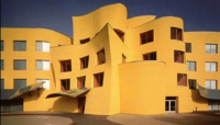 فرانک گری - معماری دیکانستراکشن