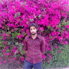 عکس‌های hmoallemian