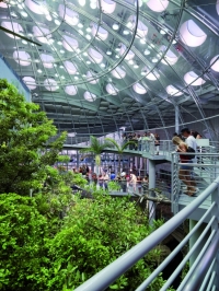 ساختمان آکادمی علوم ایالت سانفرانسیکو آمریکا-رنزو پیانو(پروژه4) ساختمان آکادمی علوم ایالت سانفرانسیکو آمریکا-رنزو پیانو(پروژه4)