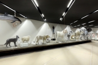 موزه تاریخ نظامی-دنیل لیبسکیند(پروژه17) موزه تاریخ نظامی-دنیل لیبسکیند(پروژه17)