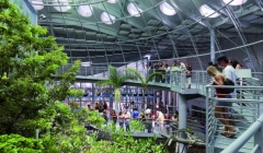 ساختمان آکادمی علوم ایالت سانفرانسیکو آمریکا-رنزو پیانو(پروژه4)