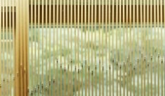 جین می میرند در فوجی موری-کنگو کوما(پروژه36)