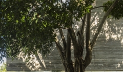 Casa Cubo-مارسیو کوگان(پروژه16)