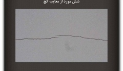 مقاله تحلیلی: شش مورد از معایب گچ