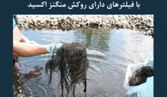 مقاله تحلیلی: حذف آلاینده ها از فاضلاب بیمارستان با فیلترهای دارای روکش منگنز اکسید مقاله تحلیلی: حذف آلاینده ها از فاضلاب بیمارستان با فیلترهای دارای روکش منگنز اکسید