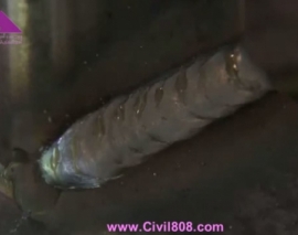 ویدیو چند قسمتی اموزش ساخت یک میز کار و وسائل فولادی با ورق های الومینیومی با تکنیک های دقیق جوشکاری TIG و MIG از سری welding tips and tricks بخش دوم ویدیو چند قسمتی اموزش ساخت یک میز کار و وسائل فولادی با ورق های الومینیومی با تکنیک های دقیق جوشکاری TIG و MIG از سری welding tips and tricks بخش دوم