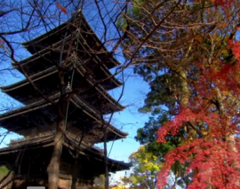 راز پشت طراحی ساختمان های پاگودا راز پشت طراحی ساختمان های پاگودا