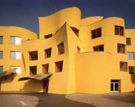 فرانک گری - معماری دیکانستراکشن