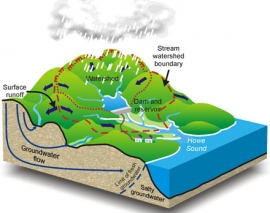 یک حوضه آبریز چگونه شکل می گیرد؟