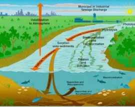 وبینار آشنایی با WASP، ابزار ارزیابی آب و توفان وبینار آشنایی با WASP، ابزار ارزیابی آب و توفان