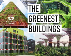 نجات دنیا با معماری سبز نجات دنیا با معماری سبز