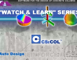 CSiCOL_-_03_Auto_Desig