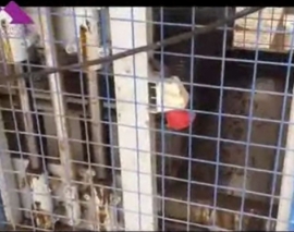 دستگاه تولید بلوک های آماده ساختمانی با اسلامپ بتن بسیار پایین و استحکام بالا دستگاه تولید بلوک های آماده ساختمانی با اسلامپ بتن بسیار پایین و استحکام بالا