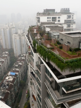  حیاط  عمودی آپارتمان-وَنگ شوُ(پروژه4)