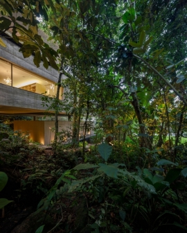 خانه جنگل-مارسیو کوگان(پروژه36)