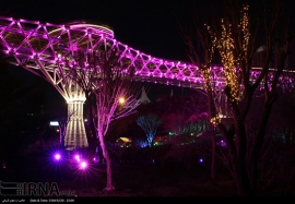 پل طبیعت تهران 