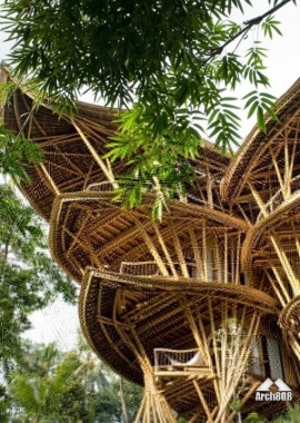 خانه درختی بامیو پایدار در بالی 
