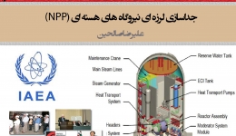 جداسازی لرزه ای نیروگاه های هسته ای (NPP)
