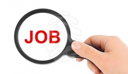 فرصت های شغلی:استخدام در شرکت کیسون(Kc)