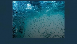 مقاله تحلیلی:‌ کاربرد AI در حفاظت از منابع آب