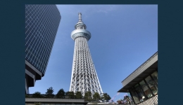 مقاله تحلیلی: راز ژاپنی‌ ها در مقاومت لرزه ‌ای معابد پاگودا و برج Skytree