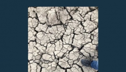 مقاله تحلیلی: خاک‌ های سدیم دار- تأثیرات، ویژگی‌ ها و اقدامات اصلاحی