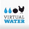 آب مجازی، Virtual Water