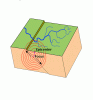 کانون زلزله، Seismic Focus